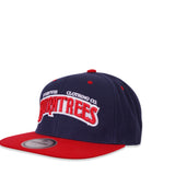 Burn Trees Snapback (Navy/Red)
