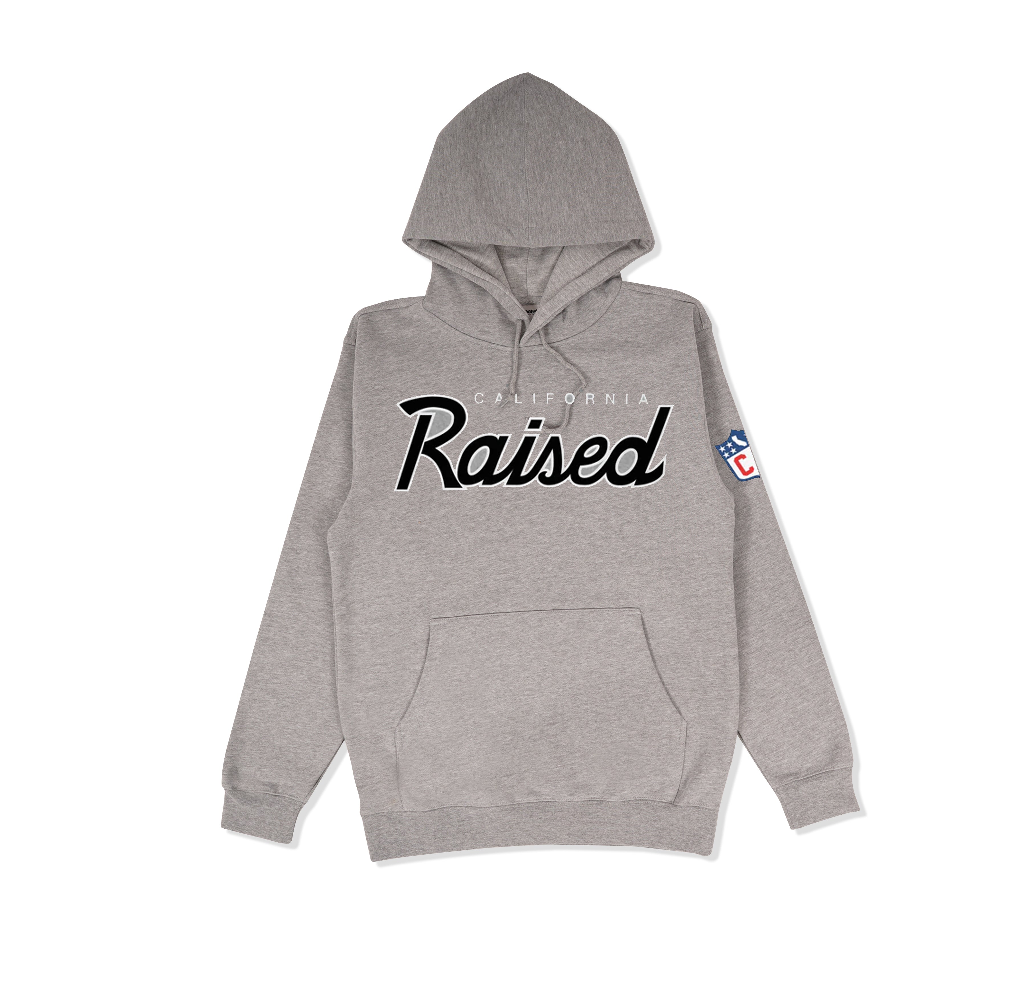 Raised_gray_hoody_2.jpg?v=