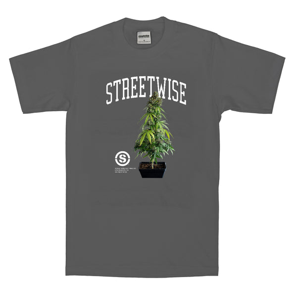 Trees T-shirt (Charcoal)